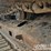 2014-caterpillar-329el-image-12