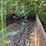 #10582-•-hi-bilt-t/a-~22'-dump-trailer-inv#10582-image-20