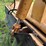 waldon-sweepmaster-image-24