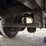 great-dane-48-image-23