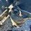 2012-trail-king-tk70hdg-image-59