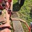 ford-8n-image-26