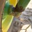 1992-john-deere-4455-image-14