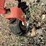 #46839-•-kleen-cut-4’-finish-mower-inv#46839-image-8