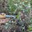 1997-deere-710d-image-20