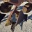 oliver-tnt-two-bottom-plow---rare!!!-image-13
