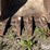 bobcat-435g-image-12
