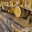 2021-caterpillar-d4-lgp-image-13