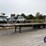 great-dane-48-image-1