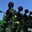 2009-john-deere-1790-ccs-image-16