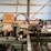 #102-•-corley-track-sawmill-image-13