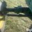 1969-john-deere-4000-image-14