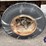 strick-trailer-image-30