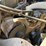 2007-caterpillar-c7-image-45