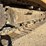 2017-caterpillar-336-image-12