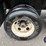 great-dane-48-image-25