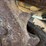 2004-caterpillar-311c-image-24