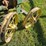john-deere-luc-image-12