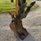 2014-caterpillar-305-image-8