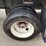 great-dane-48-image-20