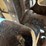 2004-caterpillar-311c-image-21
