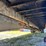 2012-king-trail-image-28