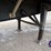 great-dane-48-image-11