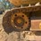 #87-•-komatsu-crawler-tractor-image-14