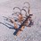 #2083-•-allis-chalmers-3-point-cultivator-image-2