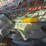 2016-takeuchi-tl10v2-image-21