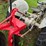 ford-8n-image-11