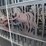 bi-parting-driveway-gates-image-3