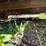 homemade-ta-image-22