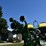 2009-john-deere-1790-ccs-image-11
