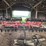 unverferth-rolling-harrow-220-image-4