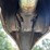 deere-437d-image-33