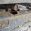 2020-yanmar-vio50-6a-image-9