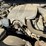#46835-•-2005-ford-crown-victoria-sedan-2fafp71wx5x153100-inv#46835-image-91