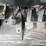 2018-terex-ta300-image-32