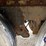 1998-great-dane-53-image-26