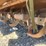 4ft-skid-steer-tiller-image-5