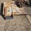 case-ih-60-image-11