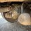 2001-caterpillar-c9-acert-image-50