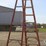 10'-step-ladder-image-2