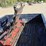 1994-ford-f250-image-12