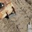 case-ih-60-image-12