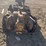 caterpillar-2-ton-image-9