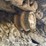 lot-details-coming-soon-image-13