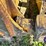 1997-caterpillar-d6r-lgp-image-10