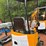 2026-future-13-mini-excavator-image-3